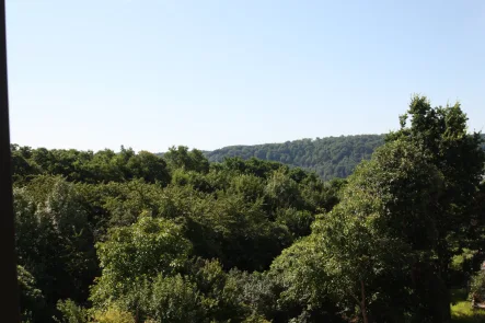 Blick aus der Wohnung - Wohnung mieten in Saarbrücken - Helle 2 Zimmer Dachgeschosswohnung mit Fernblick, SB-Hohe Wacht