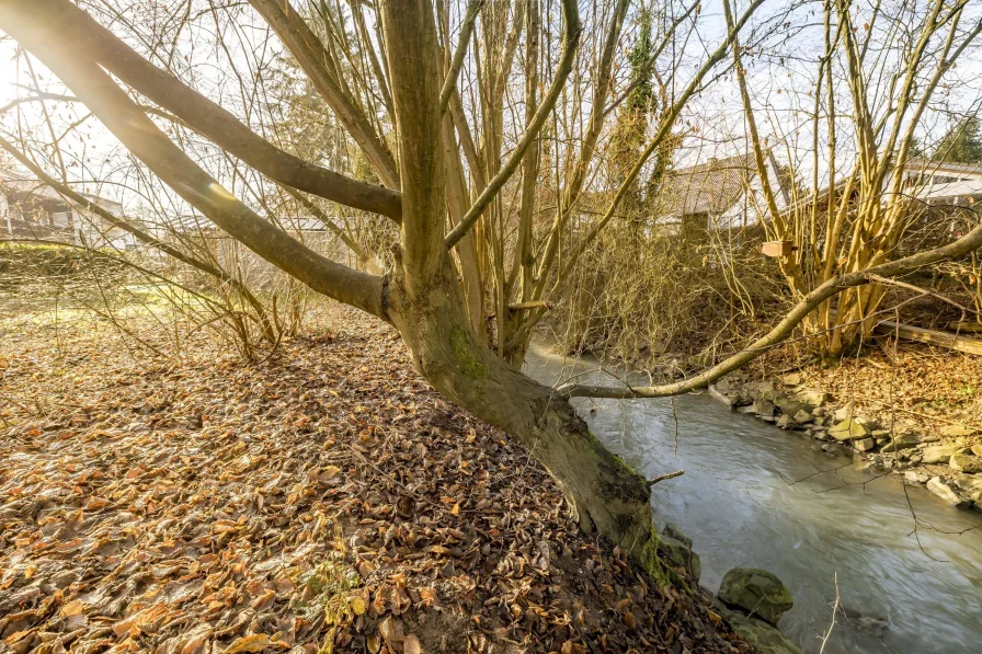 Aubachufer am Grundstücksrand