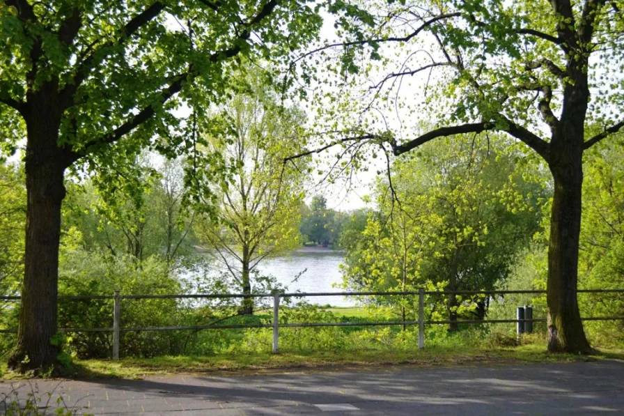 Rheinuferpromenade - Wohnung kaufen in Köln / Riehl - Apartment mit Balkon und Rheinpanorama!