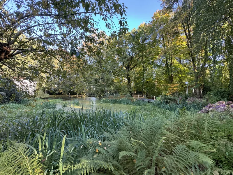 gemeinschaftl. Teich