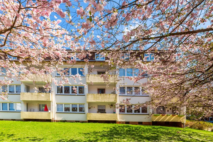 Außenansicht - Wohnung mieten in Buchholz - Modernisierte 3 Zimmerwohnung