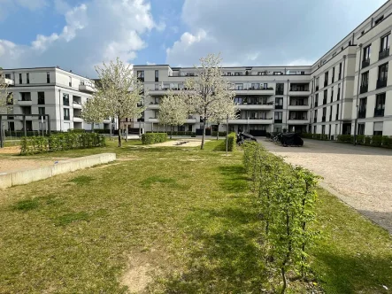 Wohnanlage  - Wohnung mieten in Düsseldorf - Gemütliche 2 Zimmerwohnung mit Balkon