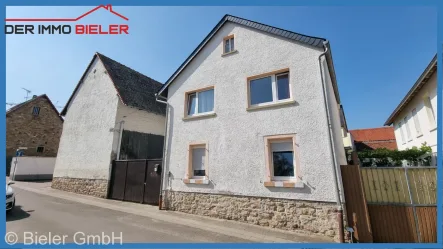 Ansicht Straßenseite - Haus kaufen in Lonsheim - Kleines Haus sucht Liebhaber - EFH mit Scheune in Lonsheim bei Alzey zu verkaufen