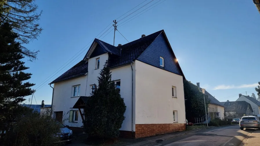 Ansicht von der Straße - Haus kaufen in Riesweiler - Geräumiges Einfamilienhaus mit Soonwaldblick in Riesweiler bei Simmern zu verkaufen