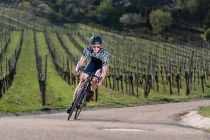 Mit dem Bike durch die Reben: Weinberge hautnah erleben