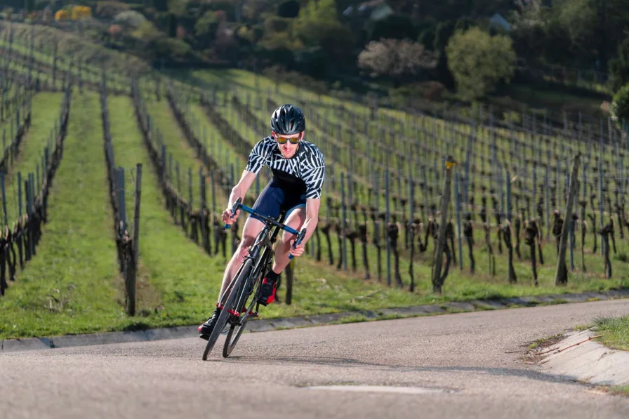 Mit dem Bike durch die Reben: Weinberge hautnah erleben