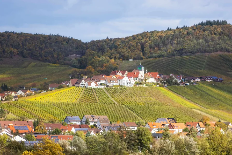 Hohenhaslach: Wo Wein, Natur und Lebensfreude aufeinandertreffen