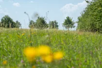 Nachbarschaft Naturschutzgebiet Kronsberg