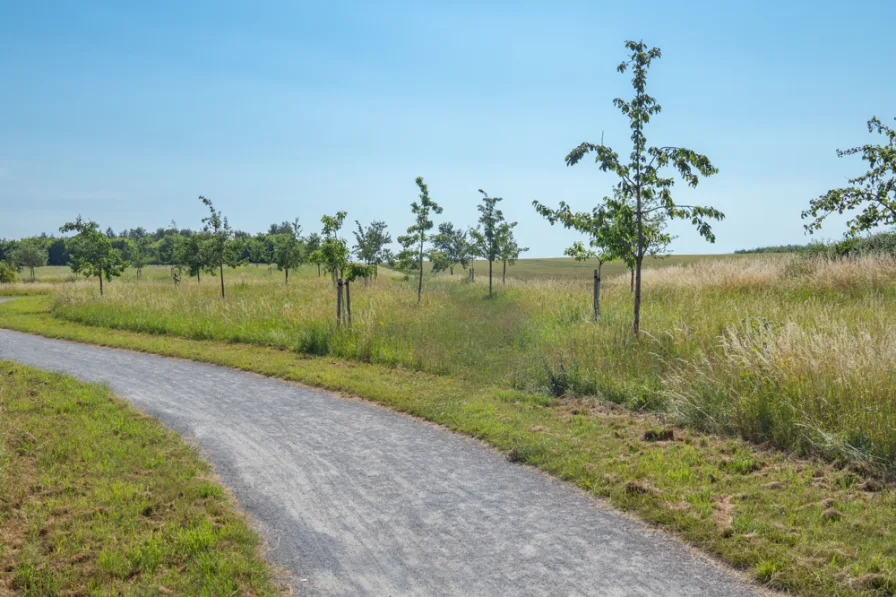 Kronsberg für Fahrradtouren und Kopf frei kriegen