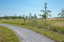 Kronsberg für Fahrradtouren uvm.