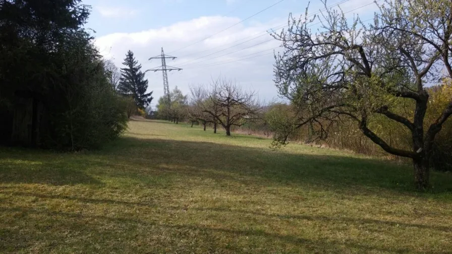 Garten - Grundstück kaufen in Herbrechtingen - Provisionsfrei! großes Wochenendgrundstück mit über 3.000 m² in Herbrechtingen zu verkaufen.