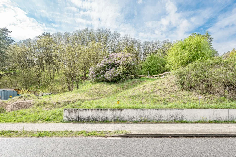 Ansicht von der Straße - Grundstück kaufen in Niederfinow - Baugrundstück mit Blick in das Nieder-Oderbruch von 628m² Fläche und optional mit Waldfläche!