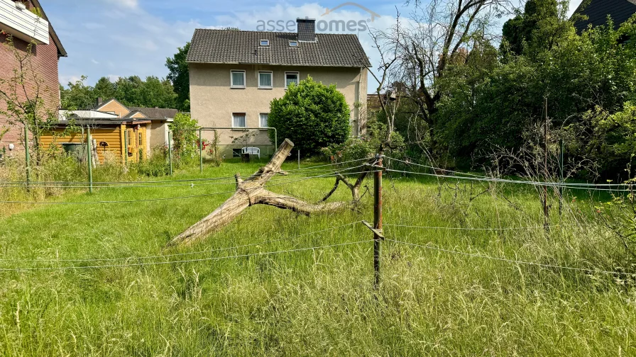 Blick vom Gartenende zum Haus