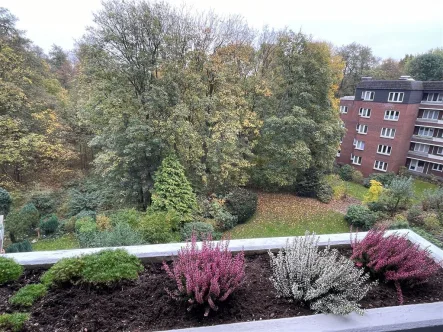 Blick vom Balkon in den Billepark - Wohnung kaufen in Hamburg - Kapitalanlage: Gut ausgestattete 3-Zi.-Whg. mit Balkon und Wintergarten