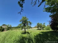 Auf dem Grundstück, Blick zur Straße