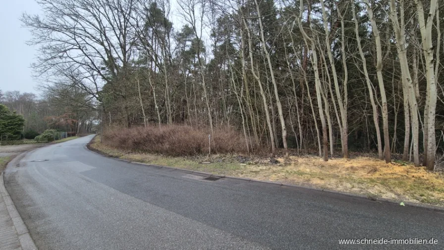 Straße, möglicher Zufahrtsbereich - Grundstück kaufen in Escheburg - Ruhiges Waldgrundstück mit positivem Bauvorbescheid – Einzelwohnhaus mit 2 Wohneinheiten möglich!