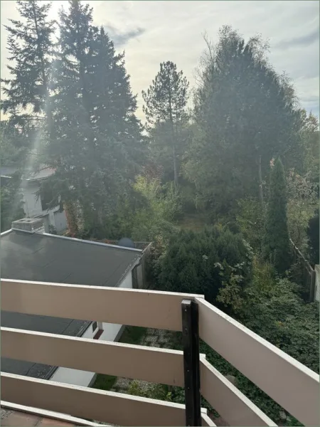 Blick vom Balkon in den Garten