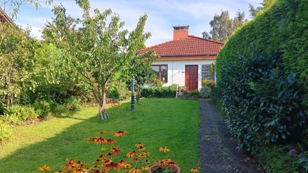 Frontalanblick Haupteingang Haus - Haus kaufen in Bornhöved - Großzügiger Bungalow auf uneinsehbarem Grundstück