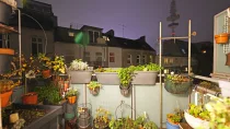 Balkon mit Kräutergarten