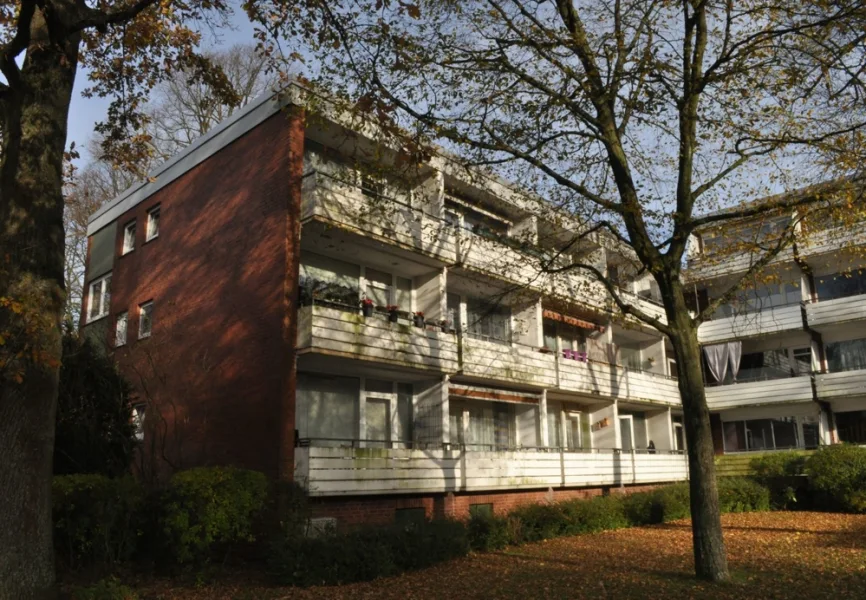 sonnige Balkonansicht - Wohnung kaufen in Norderstedt - Gut geschnittene 1-Zimmer-Hochparterre-Wohnung nur einen "Katzensprung" bis Norderstedt-Mitte