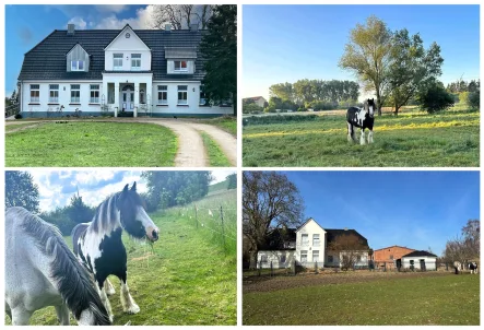 Titelbild - Haus kaufen in Tarnow - Modernisierter Landhof mit Wohn- und Gewerbeanteil, Stallungen, 5 ha Weideland OTTO STÖBEN GmbH