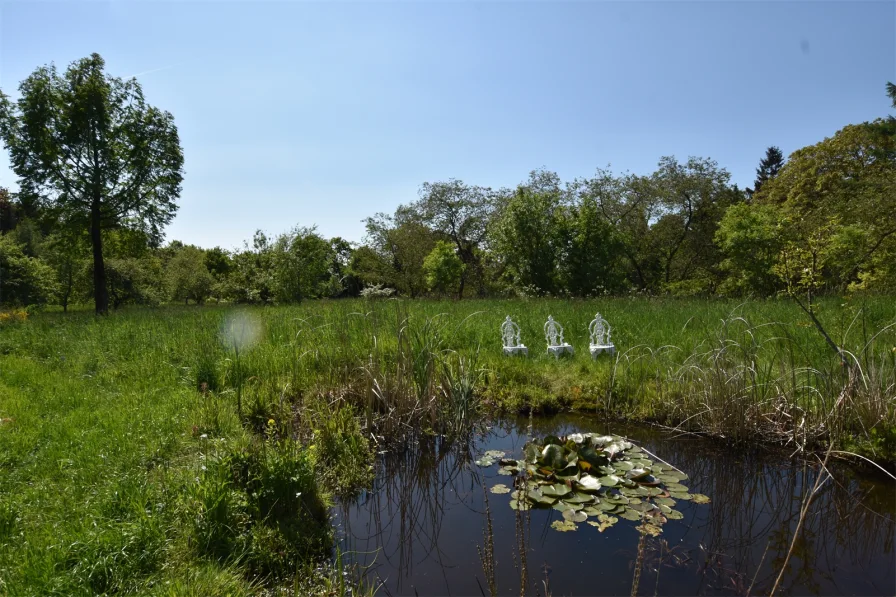 Stühle am Teich