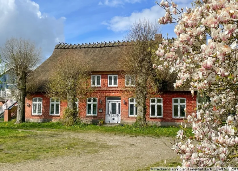 Ansicht Ost1 - Haus kaufen in Havetoft - Reetgedeckter Hof -7,6 ha- Pferdestall- Reithalle, schöne Lage