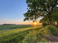 Sonnenuntergang am Grundstück 1