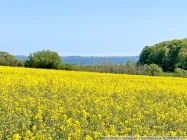 Blick zur Geltinger Bucht2