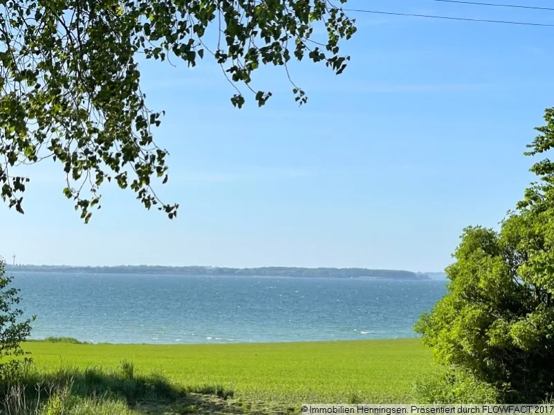 Blick nach Dänemark vom Grundstück