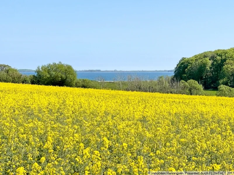 Blick zur Geltinger Bucht2