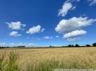 Blick über die Felder