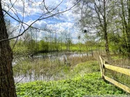 der Fischteich am Garten