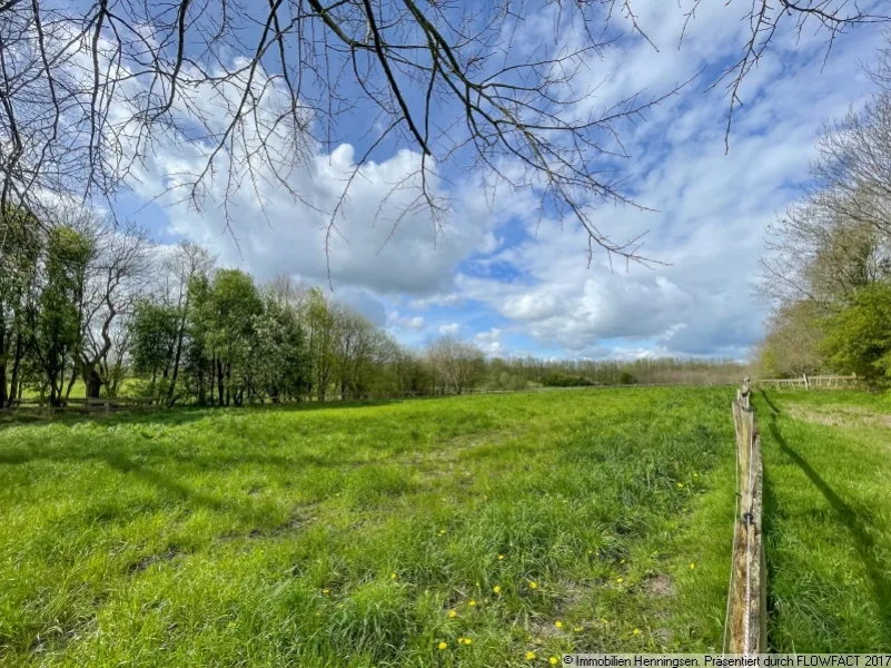 Teilansicht westliche Weiden