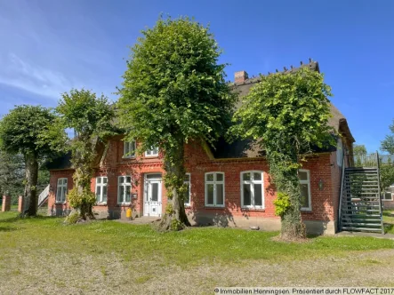 Reetdachhaus-Front - Haus kaufen in Havetoft - Resthof unter Reet -7,6 ha- Pferdestall- Reithalle, schöne Lage