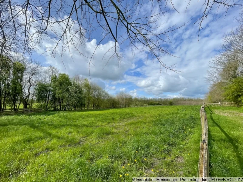 Teilansicht westliche Weiden