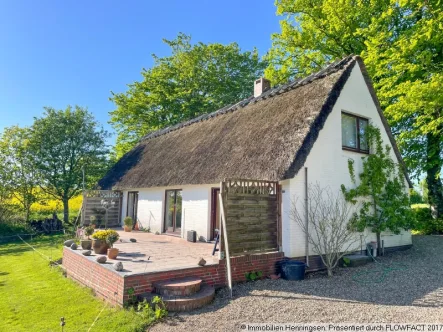 Reetdachkate Ansicht Südost - Haus kaufen in Stoltebüll - Reetkate mit wundervollem Garten-Abseitslage-Ostsee 5km