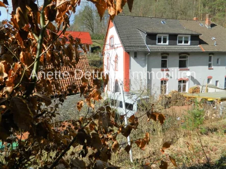 Ost-Seite - Haus kaufen in Freden (Leine) - Modernisierte Doppelhaushälfte mit Grundofen, 2 Garagen,  Nebengebäude