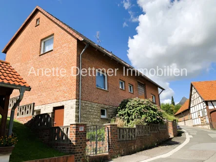 Ansicht  - Haus kaufen in Gronau (Leine) - Platz für die große Familie - Ein- oder Mehrgenerationenhaus in ländlicher Lage