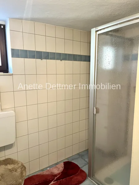  EG Badezimmer Dusche