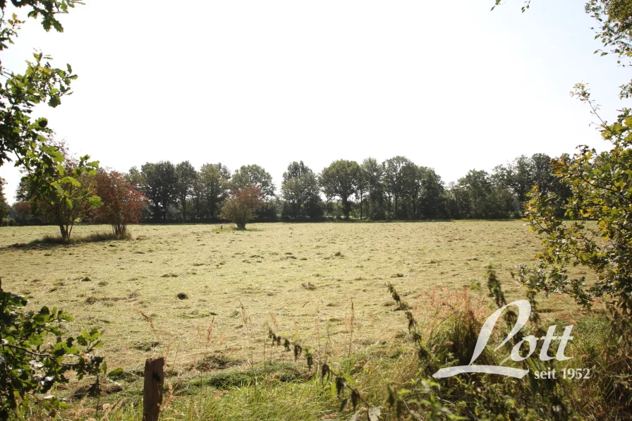 Blick auf die angrenzenden Weiden und Wiesen