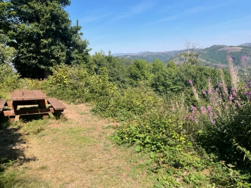 Ausblick in den Harz