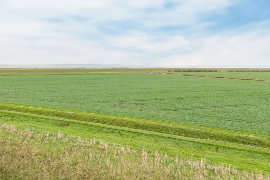 Blick auf die Nordsee