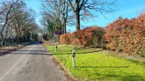 Straßenansicht mit einer Buchenhecke