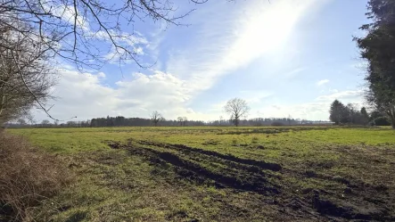  - Grundstück kaufen in Edewecht - Ca. 1,5 ha Grünlandfläche in Edewecht-Jeddeloh I (Tütjenbarg / "Wildenlohs Moor")