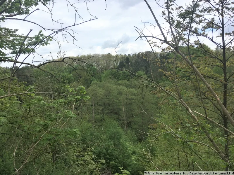 Beispielfoto - Grundstück kaufen in Wittstock - Ca. 3,14 ha Forst am Dranser See/ Ortsteil Schweinrich/ LK Ostprignitz-Ruppin/ Brandenburg