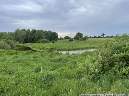 Grundstück - Grundstück kaufen in Prinzhöfte - Ca. 2 ha Naturgrundstück im Landkreis Oldenburg/ Prinzhöfte