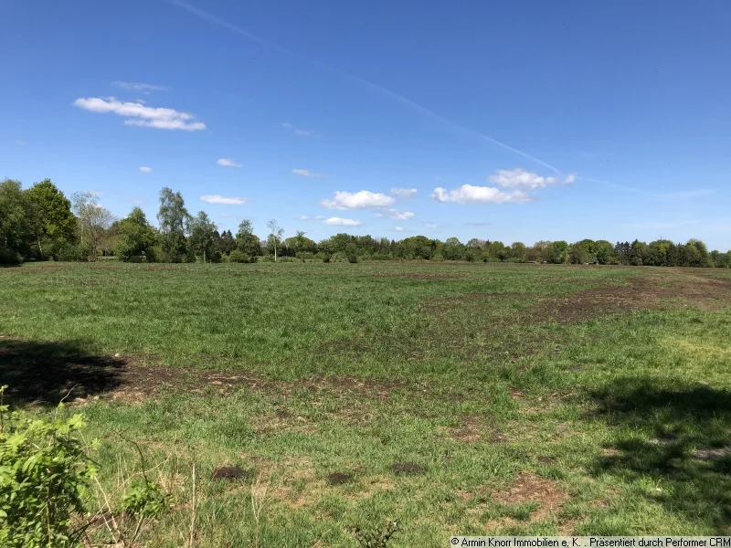 Fläche - Grundstück mieten in Edewecht - Verpachtung! Rd. 5,3 ha Grünland (landwirtschaftliche Fläche) in Friedrichsfehn/ Landkreis Ammerland