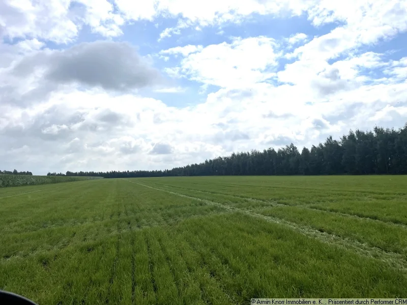 Beispielfoto Grünland - Grundstück kaufen in Hambergen - Ca. 26 ha landwirtschaftliche Flächen, größtenteils Grünland, in Hambergen, Vollersode/ Landkreis Osterholz