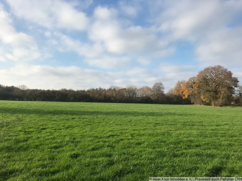 Beispielfoto - Grundstück kaufen in Edewecht - Ca. 3,19 ha Grünland im Landkreis Ammerland, Gemeinde Edewecht (Ortsteil Süddorf)